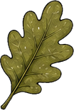 Leaf Icon Right