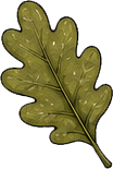 Leaf Icon Right